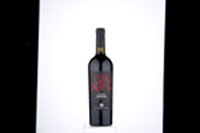 Corvina Garda Val dei Molini,2016