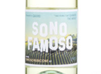 Sono Famoso Famoso Rubicone,2017
