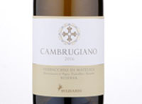 Verdicchio di Matelica Riserva Cambrugiano,2016