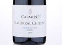 Carmen D.O. Matorral Chileno,2018