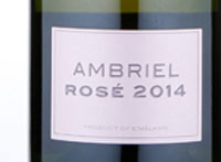 Ambriel Rose,2014
