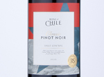 Spar Regional Selection Classic Chilean Pinot Noir,2020