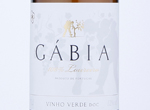 Gábia Loureiro,2019