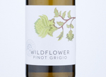 Wildflower Pinot Grigio,NV