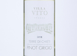 Villa Vito Pinot Grigio Terre di Chieti,2019