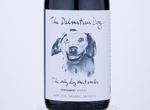 The Dalmatian Dog Babić,2016