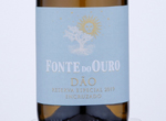 Fonte do Ouro Encruzado,2019