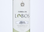 Terra de Lobos,2019