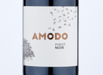 Amodo Pinot Noir Provincia di Pavia,2019