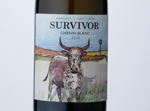 Survivor Chenin Blanc,2020