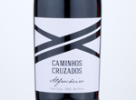 Caminhos Cruzados Alfrocheiro,2016