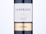 Cancellus Signature Red,2019