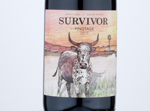 Survivor Pinotage,2019