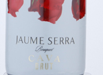 Cava Jaume Serra Bouquet Brut,NV