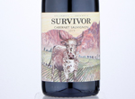 Survivor Cabernet Sauvignon,2019