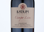 Amarone della Valpolicella "Campo Leon",2015