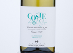 Coste del Molino - Verdiccchio dei Castelli di Jesi Classico Organic,2020