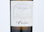 Pinot Grigio Venezia Cantastorie,2019