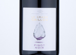 Vin de France Pinot Noir "Le Grand Caillou",2019