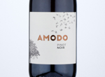 Amodo Pinot Noir Provincia di Pavia,2020