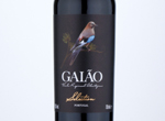 Gaião Selection,2019