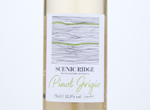 Scenic Ridge Pinot Grigio,2020