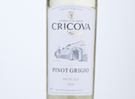 Pinot Grigio,2020