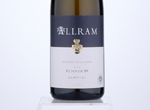 Grüner Veltliner Ried Kammerner Renner 1.öTw,2019