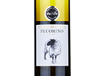 The Best Pecorino Terre Di Chieti,2021