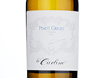 Pinot Grigio Venezia Cantastorie Bio Vegano,2021