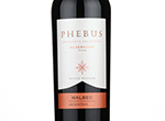 Phebus Patagonia Reservado Malbec,2021