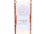 Soupçon de Fruit Rosé d'Anjou,2021