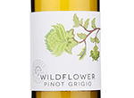 Wildflower Pinot Grigio,2020