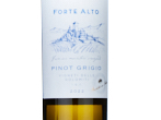 Forte Alto Pinot Grigio,2022