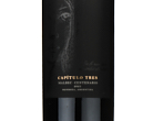 Capitulo 3 malbec centenario,2021