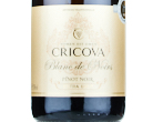 Cricova Pinot Noir Blanc de Noir Extra Brut,NV