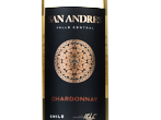 San Andres Chilean Chardonnay,2021