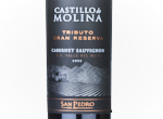 Castillo de Molina Cabernet Sauvignon,2022