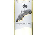 Yellowwood Mountain Sauvignon Blanc,2024