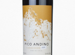 Pico Andino Carmenere,2024