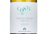 Coste del Molino - Verdicchio dei Castelli di Jesi doc Classico,2024