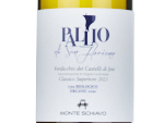 Pallio di San Floriano - Verdicchio dei Castelli di Jesi Doc Classico Superiore,2023