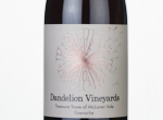 Treasure Trove of the McLaren Vale Grenache,2023
