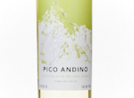 Pico Andino Sauvignon Blanc,2024