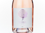 Rose Festigia,2024