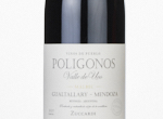 Polígonos Gualtallary Malbec,2023