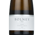 Pinot Gris,2023