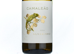 Camaleao,2024