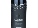 Extinto,2024