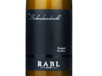 RIED SCHENKENBICHL KAMPTAL DAC - RIESLING ALTE REBEN,2024